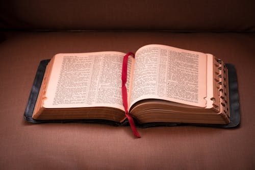 Gratis lagerfoto af Bibel, bibellæsning, bibelstudiet