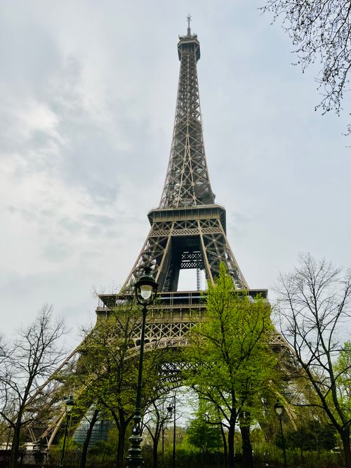 Free View of the iconic Eiffel Tower in Paris, surrounded by greenery and a cloudy sky. Stock Photo