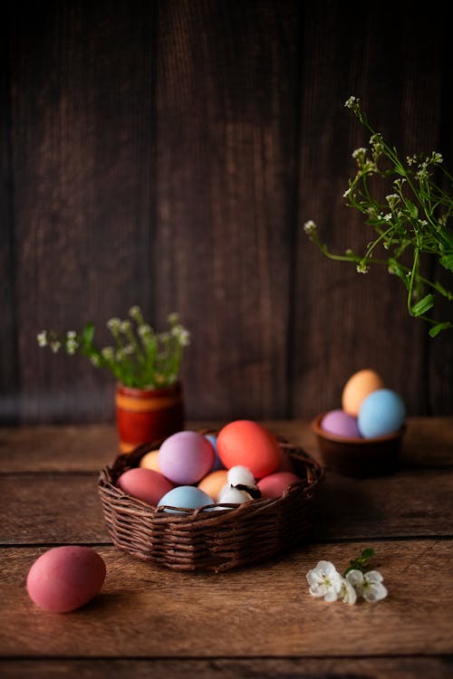 Gratis stockfoto met bloemen, detailopname, eieren