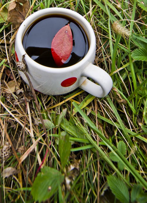 コーヒー, コーヒーカップ, ブラックコーヒーの無料の写真素材
