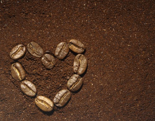 Gratis lagerfoto af kaffe, kaffebønner, sort kaffe