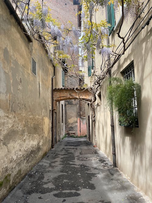 Foto profissional grátis de alameda, arcada, arcadas