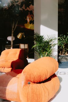 Sunlit living room featuring modern orange sofa and indoor plants for a cozy ambiance.