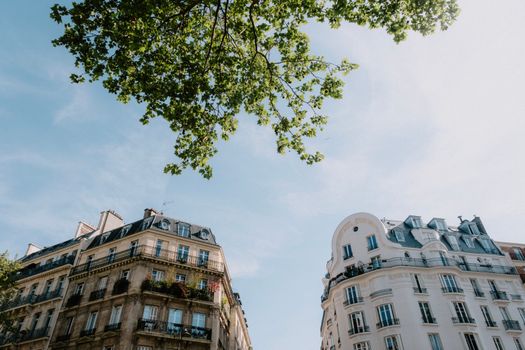 Low Angle Shot of Buildings and the Leaves