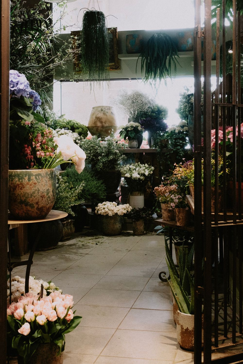 Potted Plants Arranged in the Room with Tiled Floor · Free Stock Photo