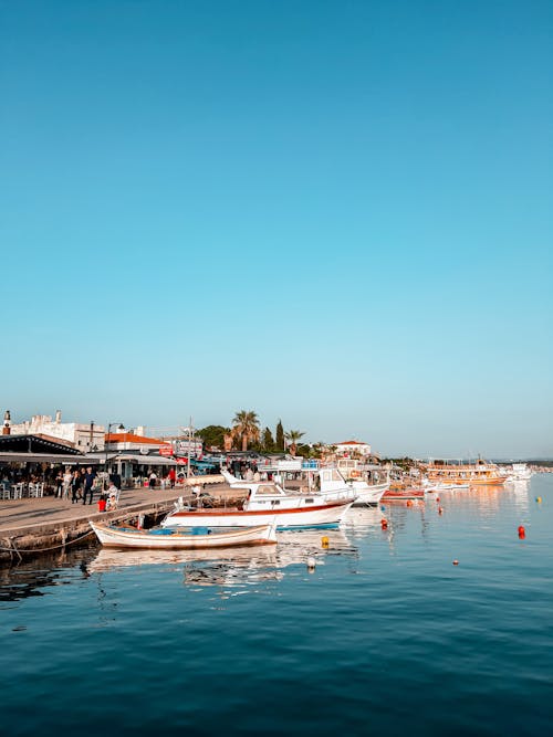 Boats in Marina under Clear Sky