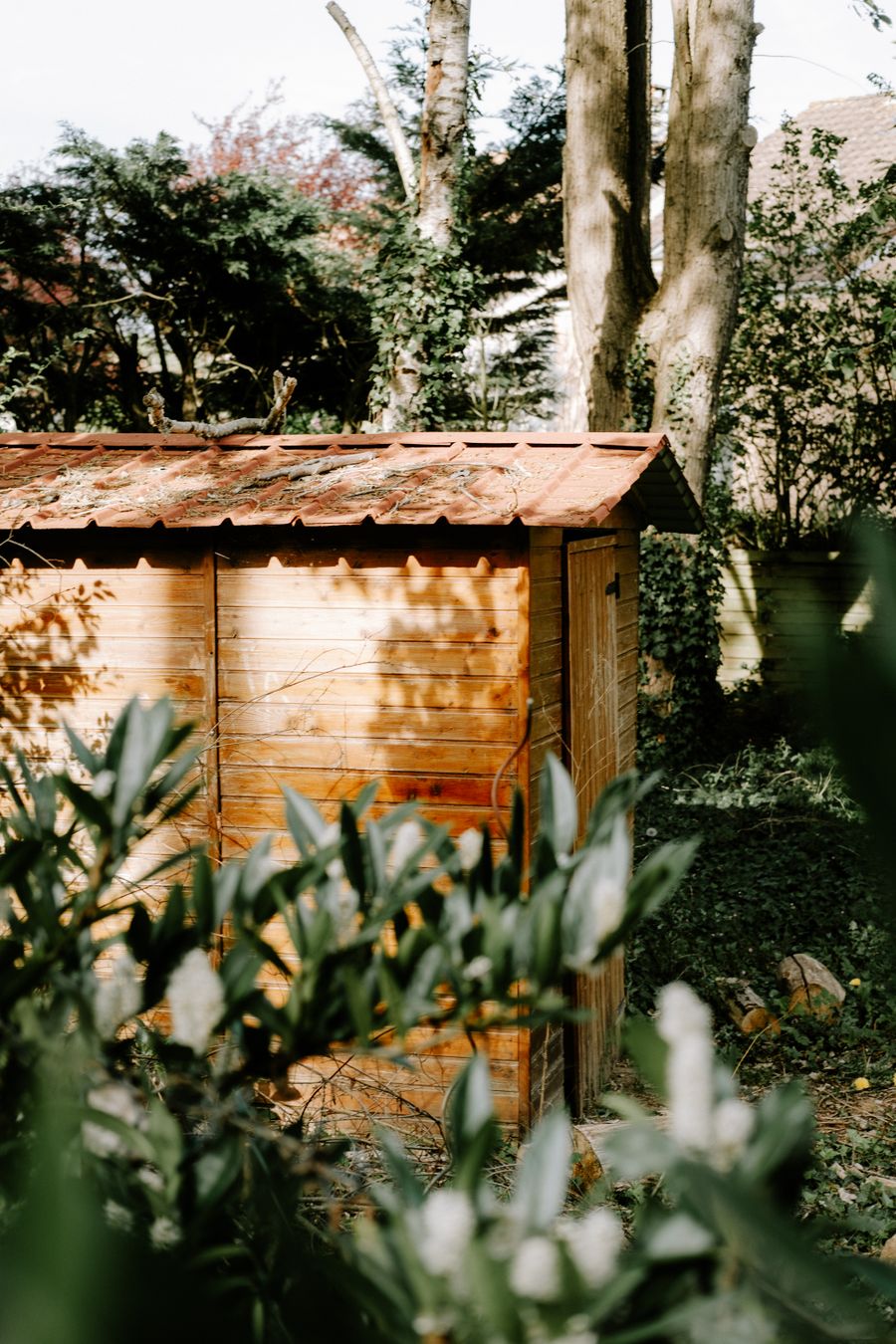 Wooden garden shed installed in a North West England garden