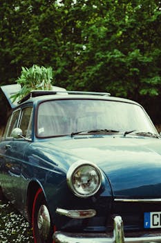 A retro blue car adorned with plants on its roof, captured outdoors with vibrant green trees as background.