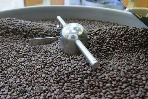 コーヒー, コーヒー焙煎業者, コーヒー豆の無料の写真素材