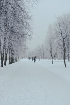 People walking in a snowy park in Vitebsk, Belarus, during winter.