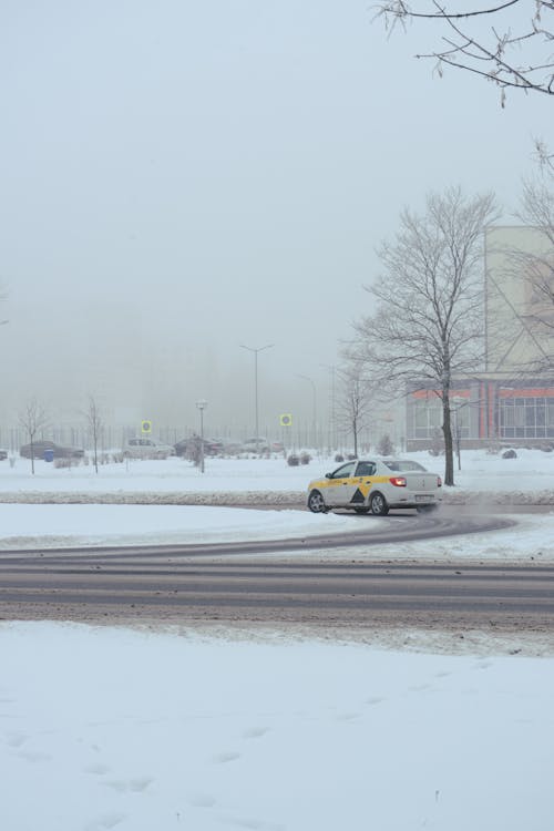 Foto d'estoc gratuïta de arbres nus, carretera, cobert de neu
