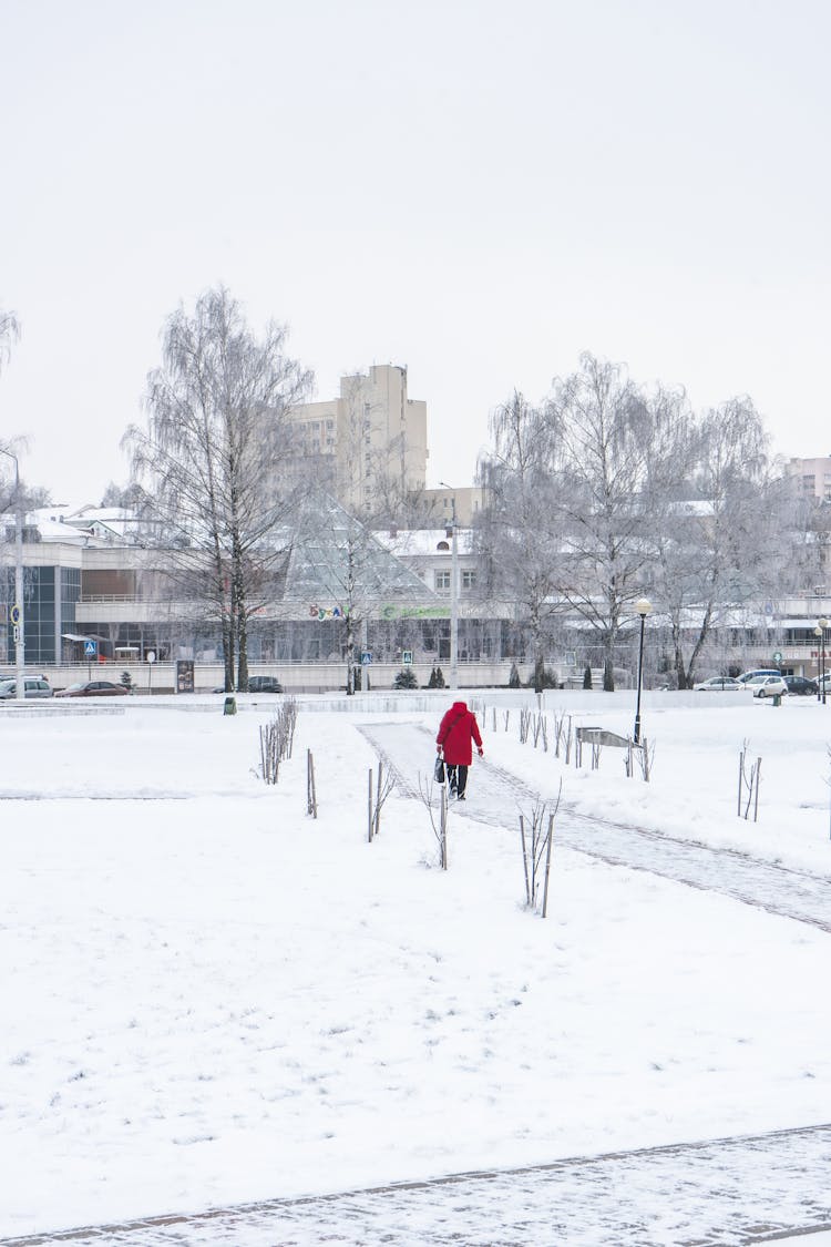 Woman Walking In Park On Winter Day