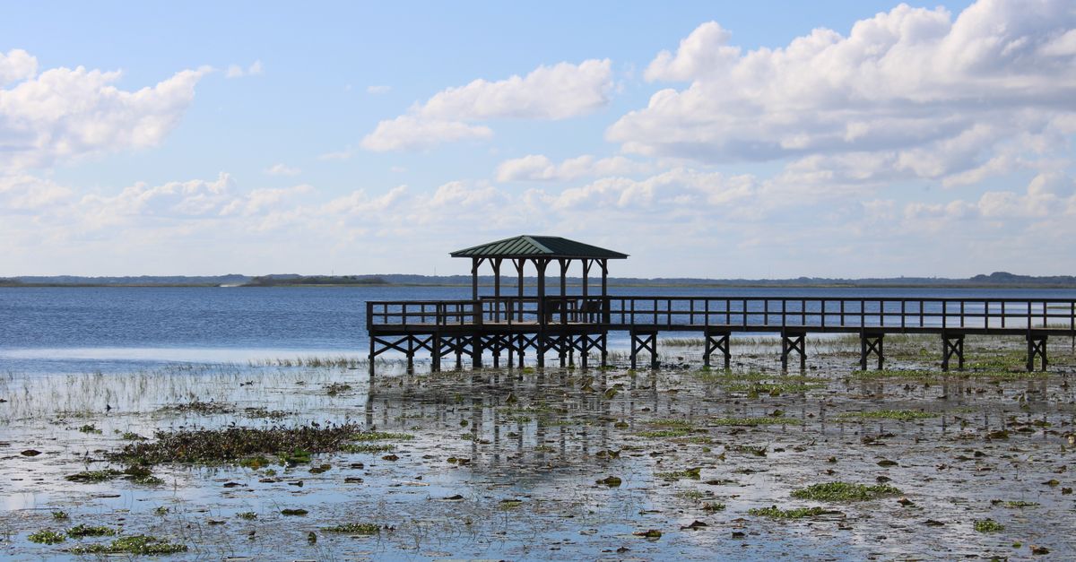 A picturesque wooden dock extends into a serene lake under a blue sky with fluffy clouds.