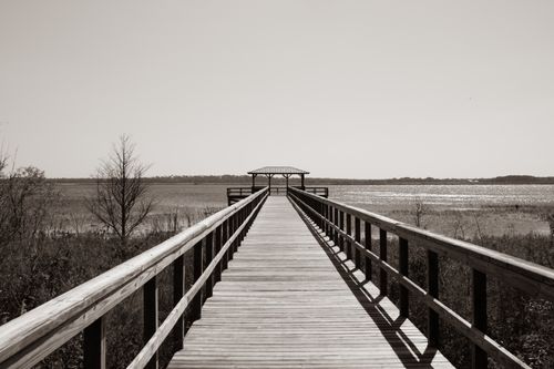 Free A tranquil black-and-white boardwalk scene leading to a lake with a serene vibe. Stock Photo
