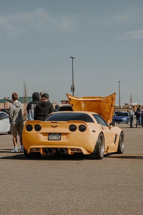 Základová fotografie zdarma na téma automobil, chevrolet, korveta