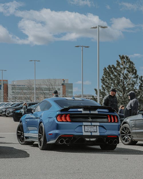 Back of a Blue Shelby Mustang GT on a Parking Lot 