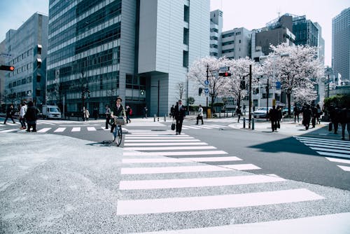 Free People Crossing Pedestrian Lane Stock Photo