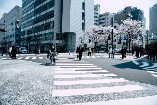 Japan travel city street