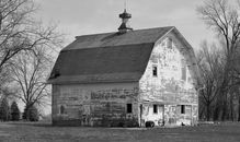 Grayscale Photo of Wooden House Near Bare Trees