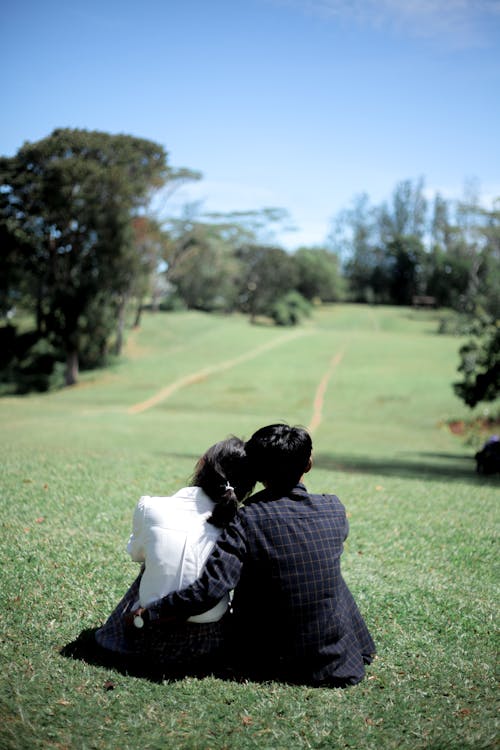 Foto stok gratis bersama, bidang, duduk