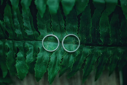 Close-up of two silver rings resting on a lush green leaf, symbolizing nature and elegance.