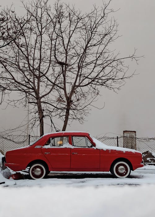 Kostnadsfri bild av röd bil, snö, träd