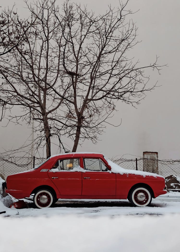 Red Car Below A Tree In The Snow