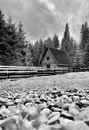 Grayscale Photo of Wooden House Near Trees