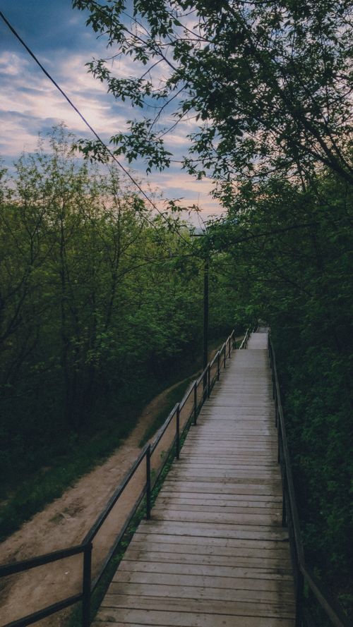 Free Tranquil wooden pathway through lush green forest under a cloudy sky, perfect for nature lovers. Stock Photo