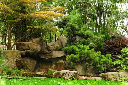 Free Serene garden scene featuring diverse greenery and natural rock formations. Stock Photo