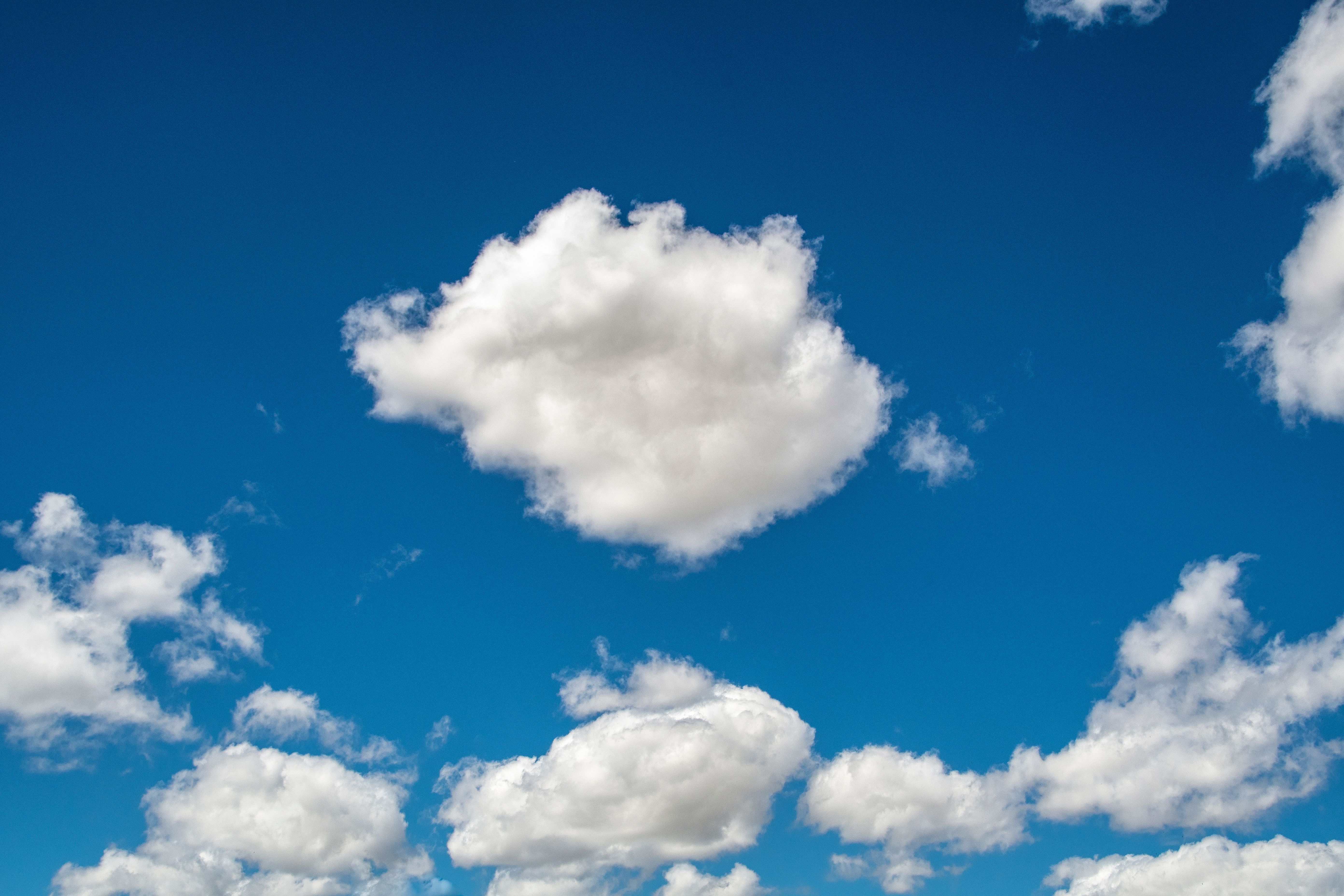 Pokemon Pokopia: Developer Cloud Island Code — Photo by Enrique on Pexels