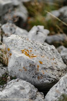 Close-up of rocks with lichen, showcasing a natural environment's texture and earthy tones.