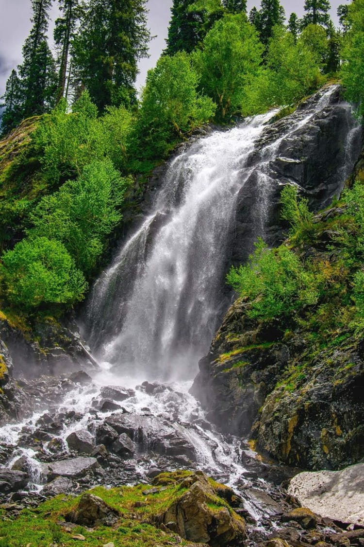 Waterfall In Forest