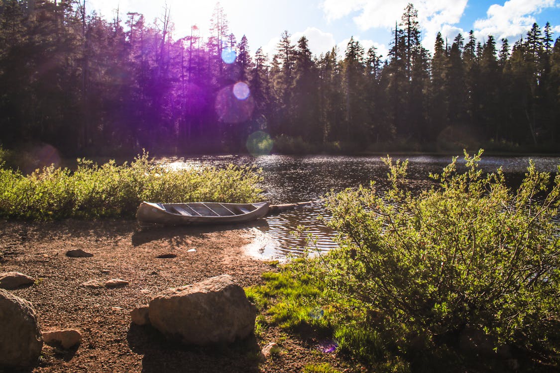 Ilmainen kuvapankkikuva tunnisteilla auringonvalo, joki, kanootti