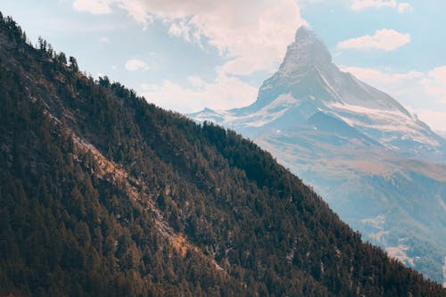 Scenic View of Trees on the Mountains