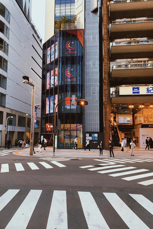 Immagine gratuita di attraversamento pedonale, città, città giapponese