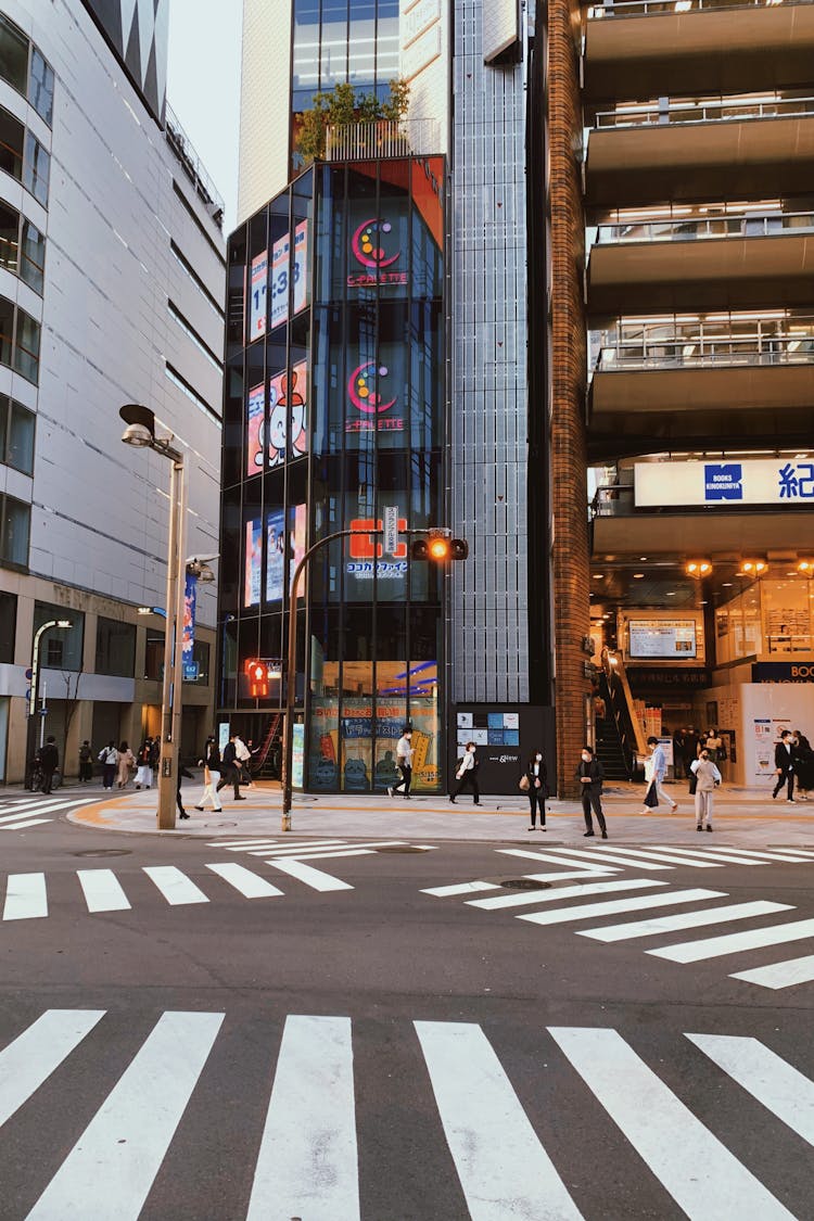 Zebra Crossing In Japanese City 