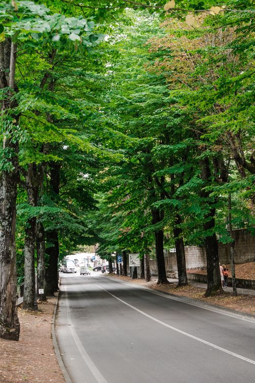 Free Scenic road with lush greenery in Orvieto, Umbria, Italy. Stock Photo