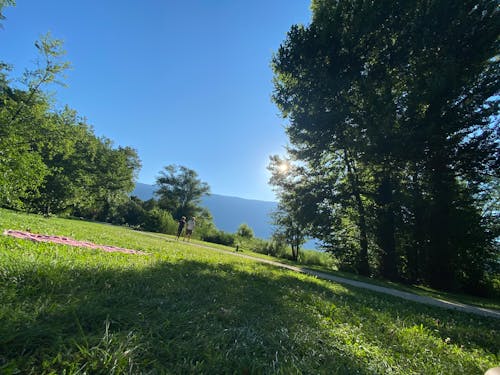 doğa, mavi, uzay içeren Ücretsiz stok fotoğraf