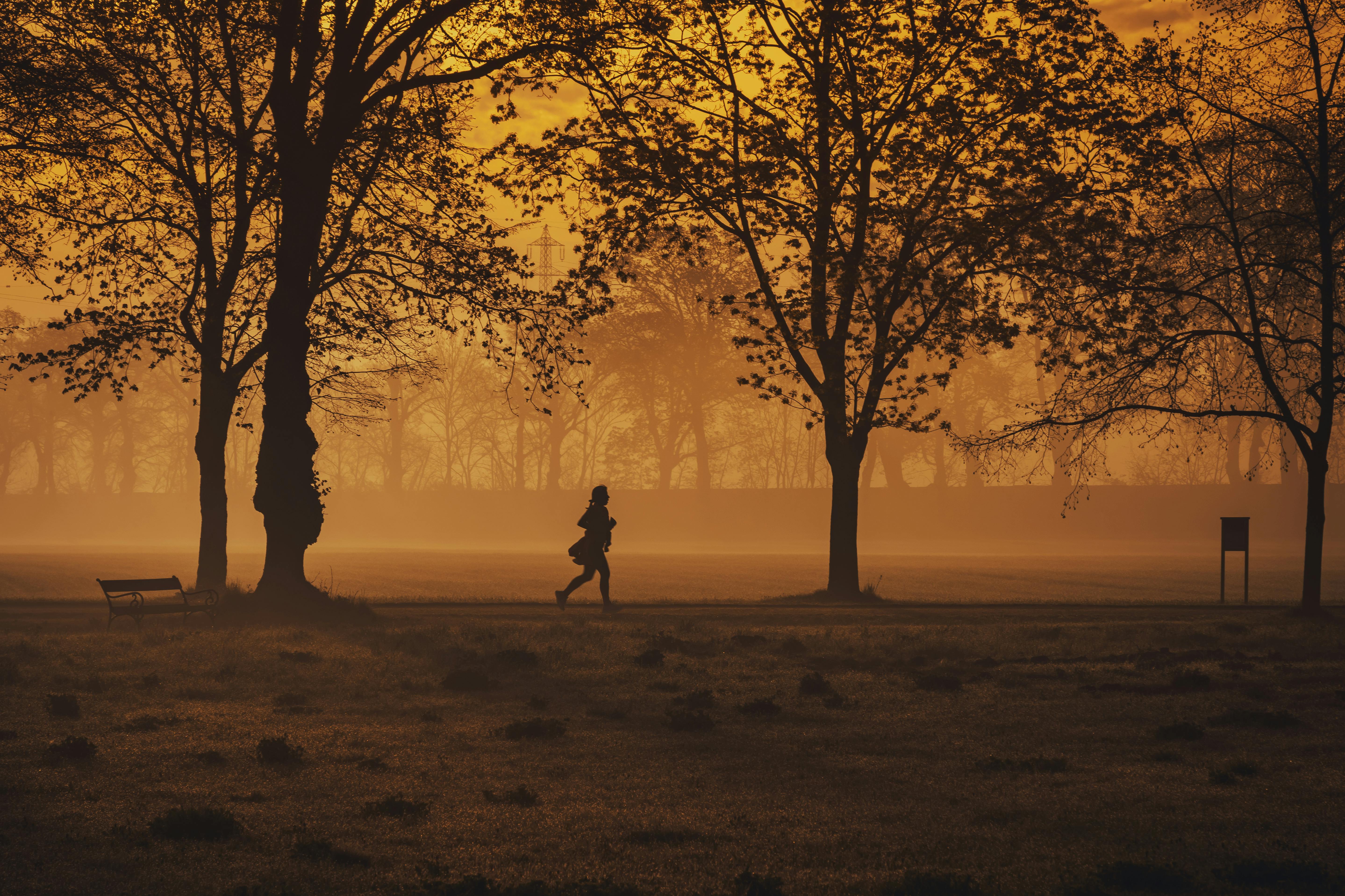 A person jogging in silhouette during sunrise on a foggy morning in a serene park setting.