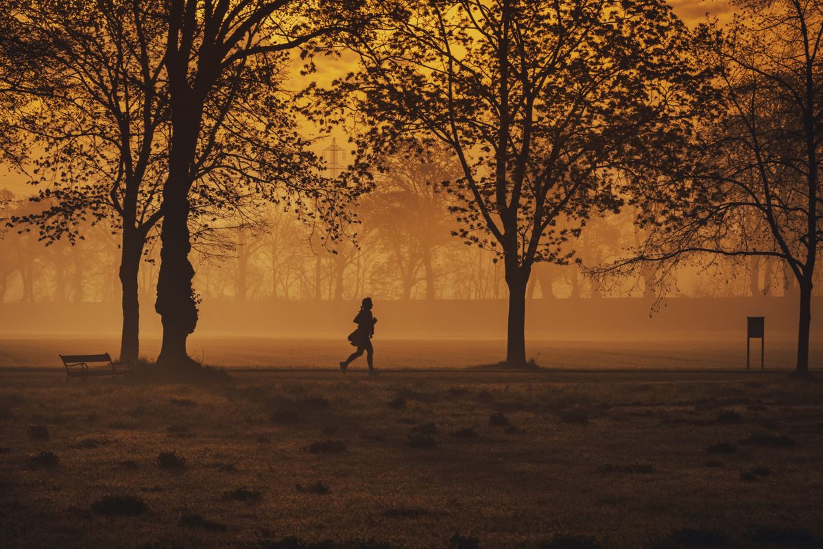A runner in silhouette on a tree lined path at sunset