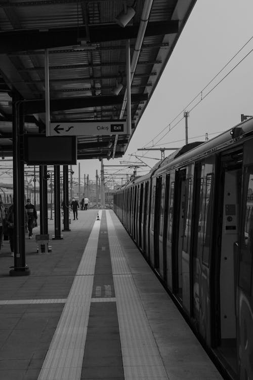 Grayscale Photo of Train Station