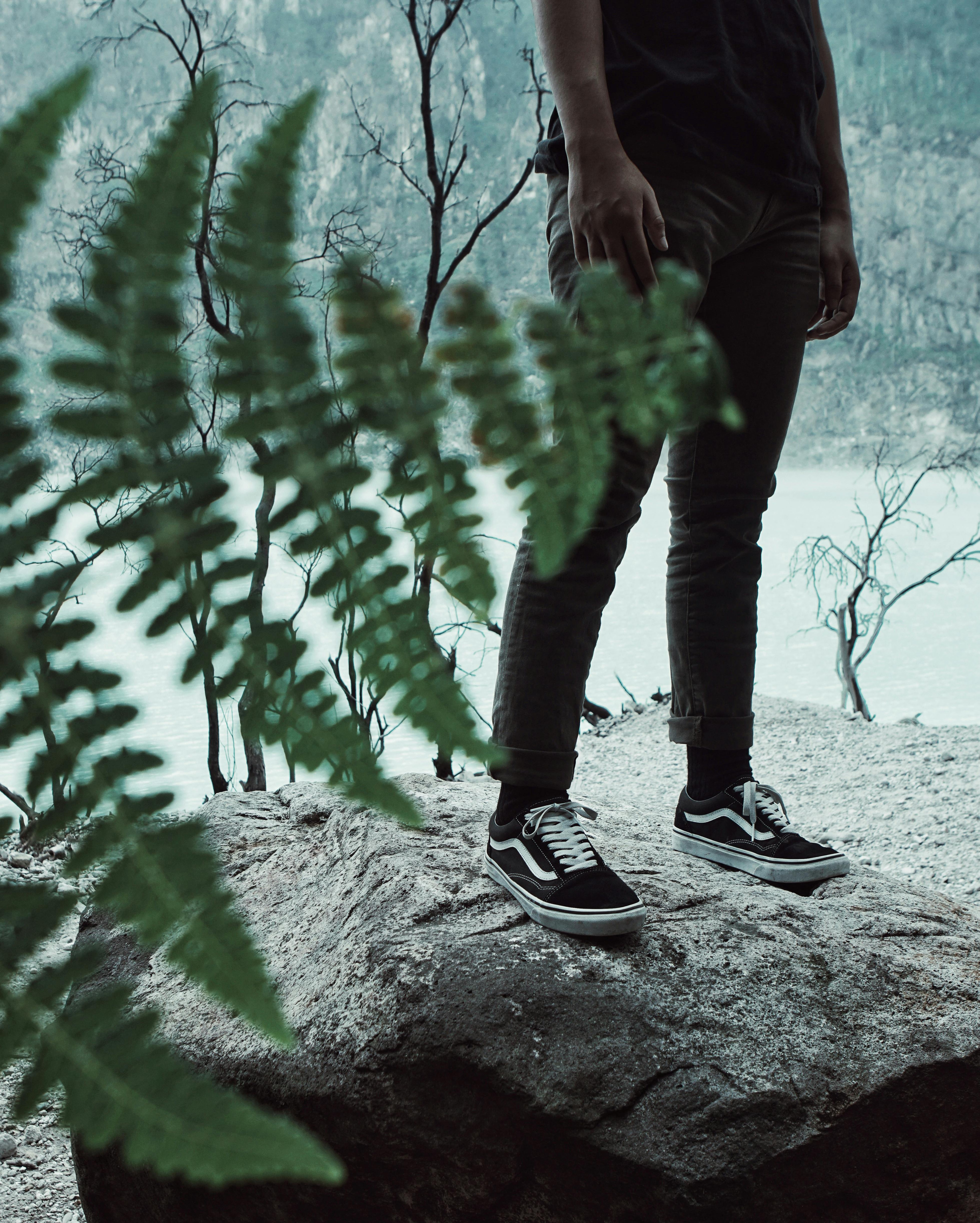 Vans old hotsell skool black wallpaper