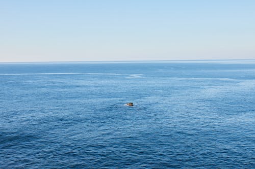 bezplatná Základová fotografie zdarma na téma horizont, modrá voda, modré moře Základová fotografie
