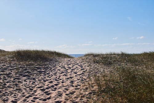 Foto stok gratis bukit pasir, horison, jalan