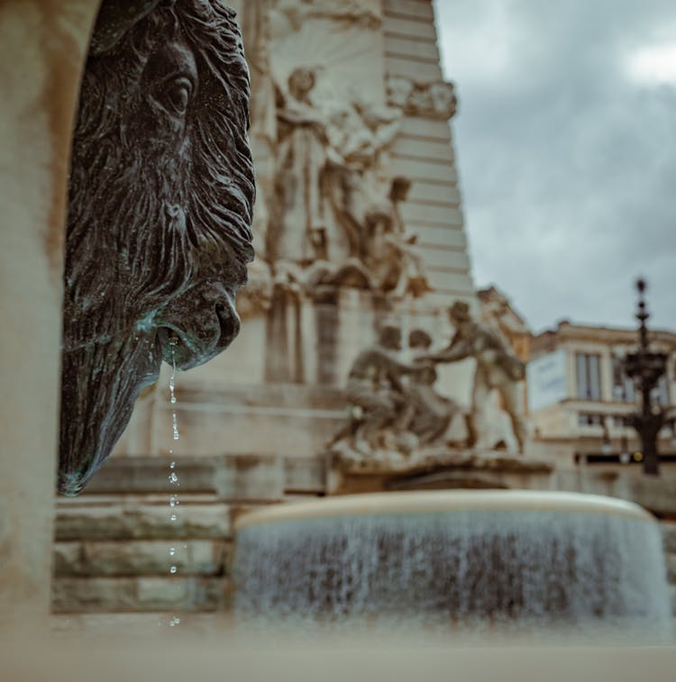 Lion Relief On Fontanna Di Trevi In Rome, Italy