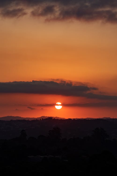 Foto d'estoc gratuïta de capvespre, hora daurada, sol