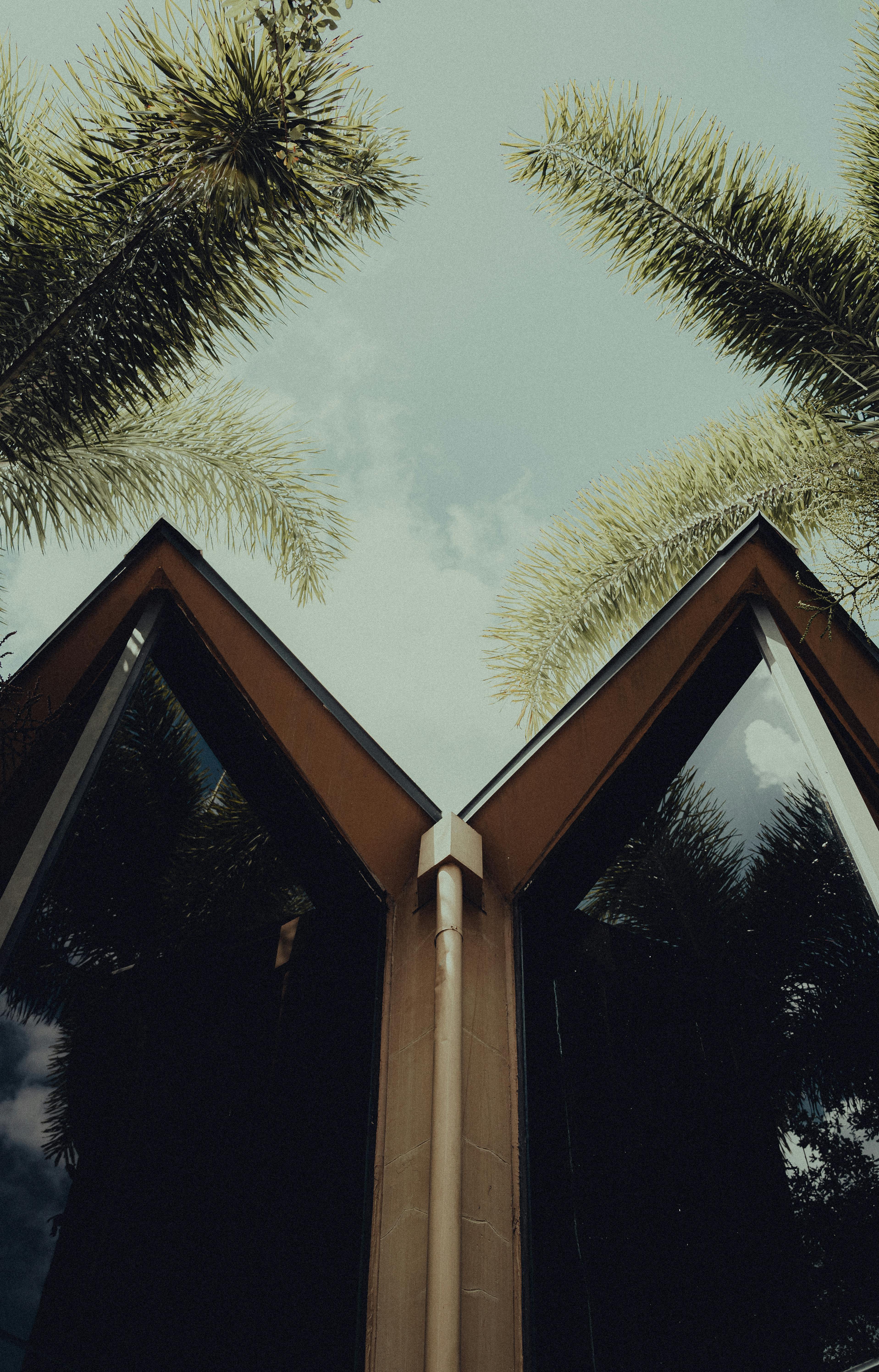 Free Low angle view of modern architecture against palm trees, showcasing reflective glass panels. Stock Photo
