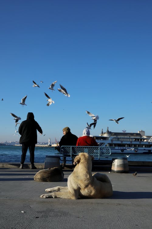 People Sitting on a Bench by the Sea