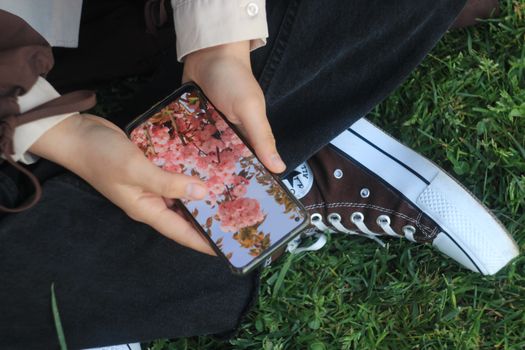 Close-up of hands holding smartphone with cherry blossom photo outdoors on grass.